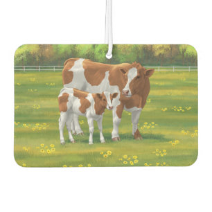 Guernsey Cow & Cute Calf in Summer Pasture Car Air Freshener