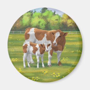 Guernsey Cow & Cute Calf in Summer Pasture Magnet