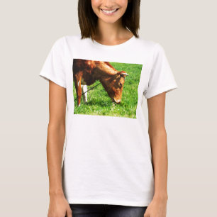 Guernsey cow eating T-Shirt