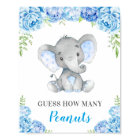 Guess How Many Peanuts Elephant Baby Boy Shower