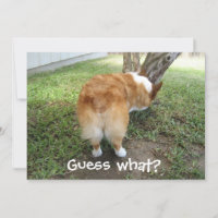 Guess What Corgi Butt Funny Dog Lover