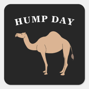 Guess What Day It Is Hump Day Camel Desert Animal Square Sticker