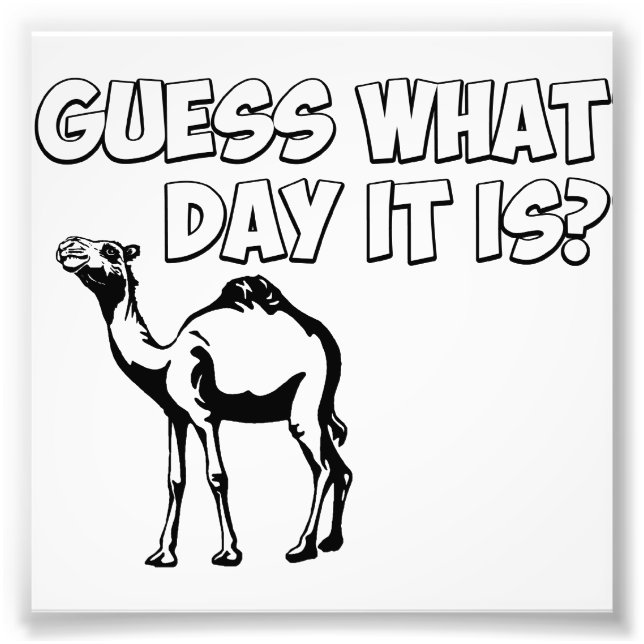 Guess What Day it Is? Hump Day Camel Photo Print (Front)