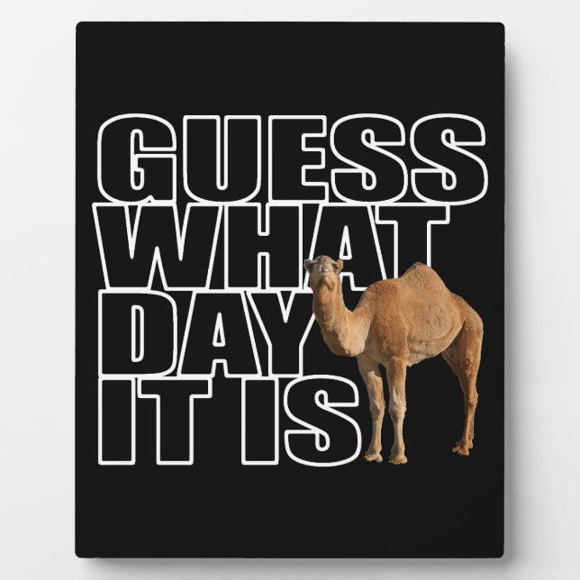 Guess What Day It Is Hump Day Camel Plaque (Front)