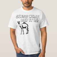 Guess What Day it Is? Hump Day Camel