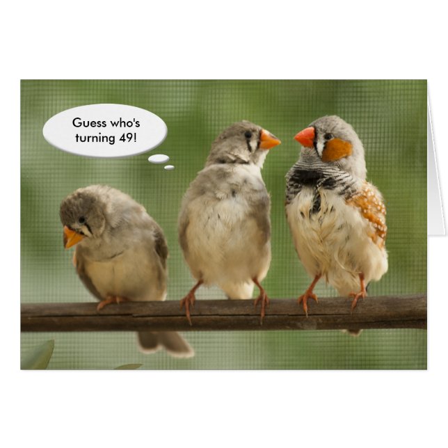 "Guess who is turning 49" Finches Template (Front Horizontal)