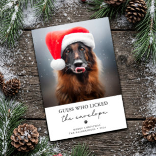 Guess Who Licked the Envelope Funny Dog Christmas Holiday Card