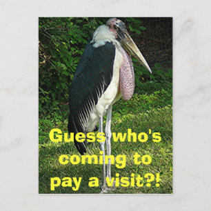 Guess who's coming to pay a visit?! postcard