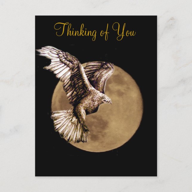 Guidance of Hope_ Postcard (Front)