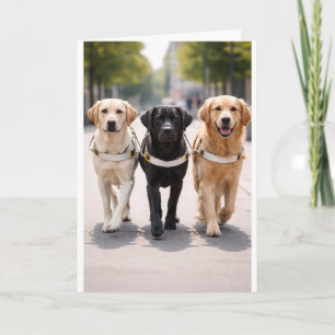 Guide Dog Team Announcement Forward Together