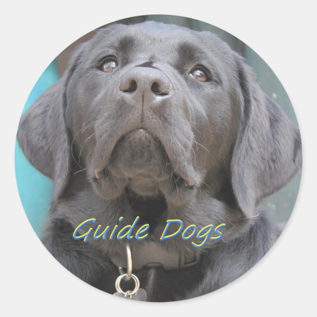 Guide Dogs - Black Lab Cross Classic Round Sticker (Front)