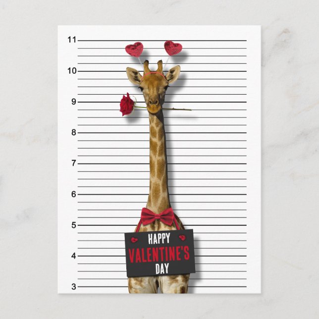 Guilty Giraffe Mugshot Funny Happy Valentine's Day Holiday Postcard (Front)