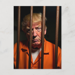 Guilty Trump Sits in Jail Rusty Bars Postcard