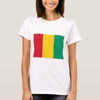 Guinea Flag GN
