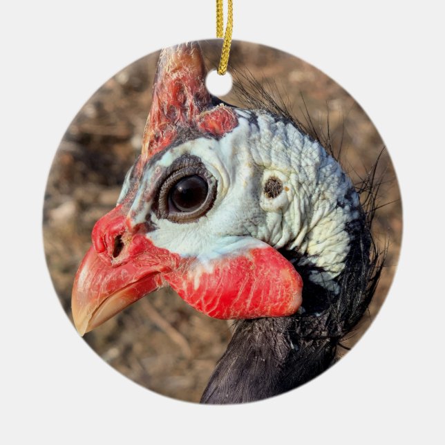 Guinea Fowl Ceramic Ornament (Front)