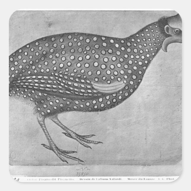 Guinea Fowl, from the The Vallardi Album Square Sticker (Front)