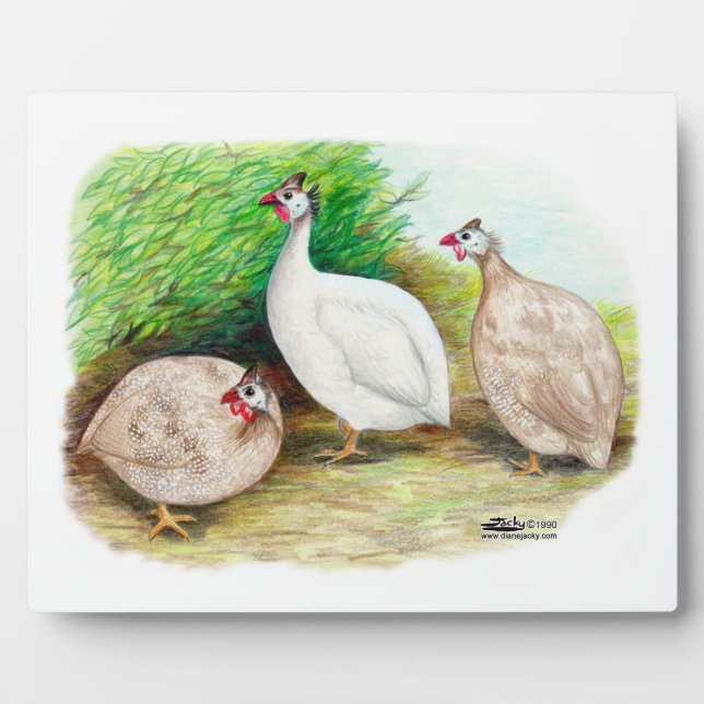 Guinea Fowl Outside Plaque (Front)