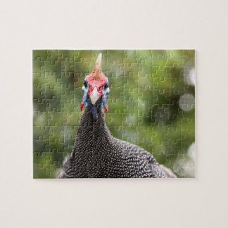 Guinea-Fowl Portrait Jigsaw Puzzle