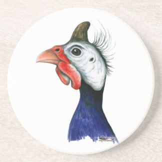 Guinea Head Coaster