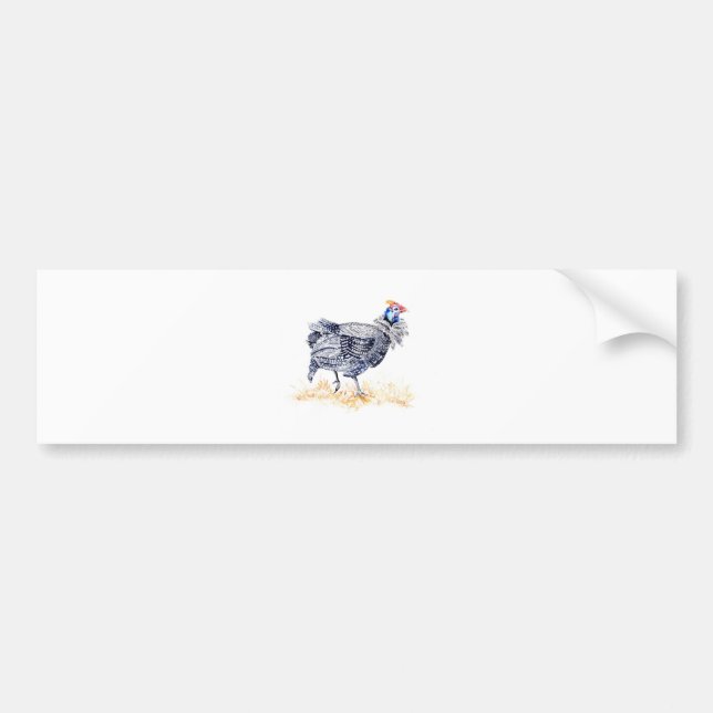 Guinea hen bumper sticker (Front)