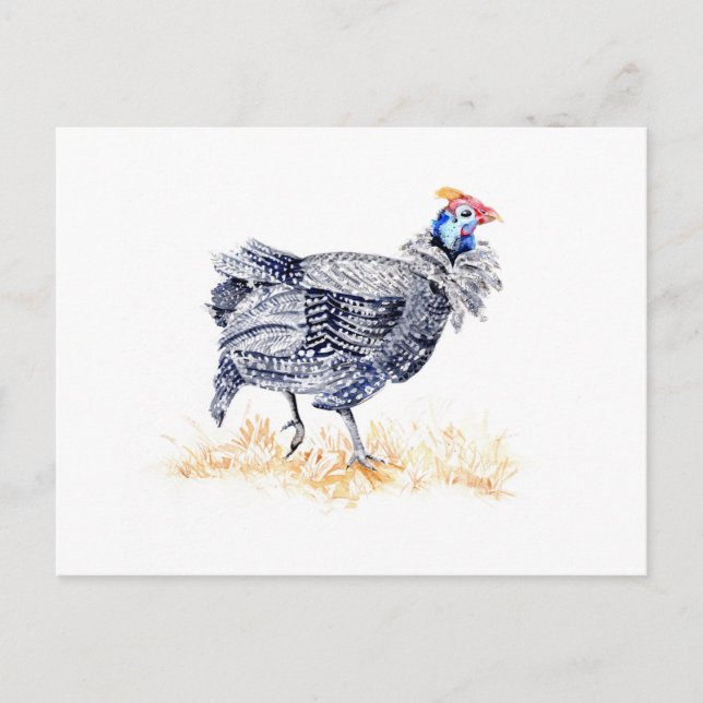 Guinea hen postcard (Front)
