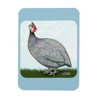 Guinea Lavender On Watch Magnet