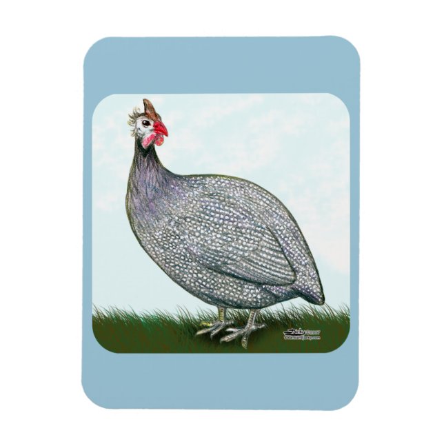 Guinea Lavender On Watch Magnet (Vertical)