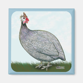 Guinea Lavender On Watch Magnet