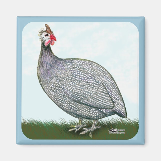 Guinea Lavender On Watch Magnet (Front)