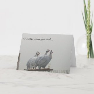 Guinea Lookouts Card