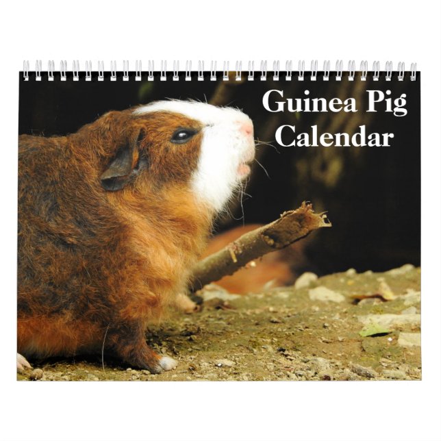 Guinea Pig 2026 Calendar (Cover)