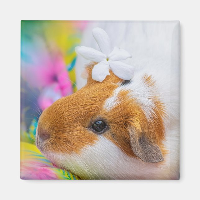 guinea-pig-5924328 magnet (Front)