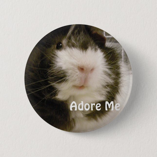 Guinea Pig 6 Cm Round Badge (Front)