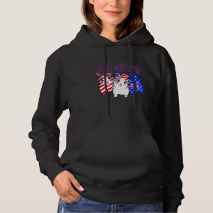 Guinea Pig American Flag 4th Of July Firework Patr Hoodie