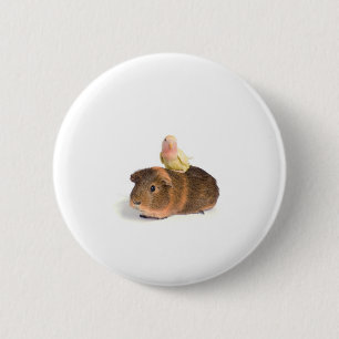 guinea pig and yellow bird 6 cm round badge