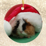 Guinea Pig Animal Christmas Ornament<br><div class="desc">This cute little guinea pig is wearing a Santa hat and is ready to see what Santa brings her.  An adorable Christmas ornament for the guinea pig or cavy lover.  Copyright ornamentsbyhenis</div>