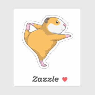 Guinea pig at Yoga Stretching exercise