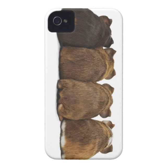 Guinea Pig Butts Iphone4 case (Back)