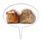 Guinea Pig