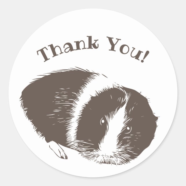 Guinea Pig Cavy Thank You  Classic Round Sticker (Front)