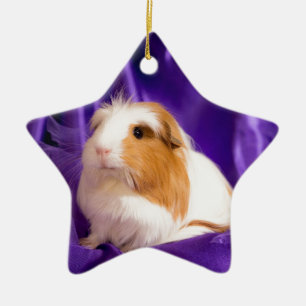 guinea pig ceramic tree decoration