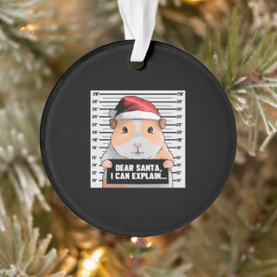 Guinea Pig Christmas Cavy Dear Santa I Can Explain Ornament