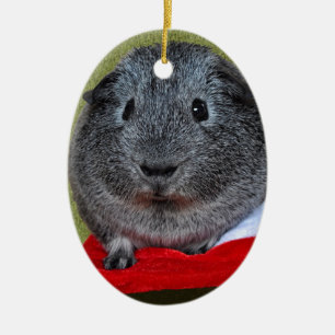 Guinea Pig Christmas Ceramic Tree Decoration