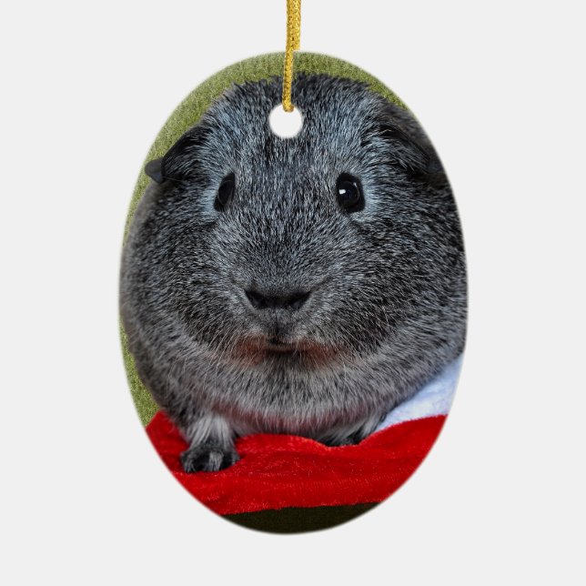 Guinea Pig Christmas Ceramic Tree Decoration (Front)