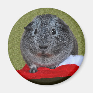 Guinea Pig Christmas Magnet