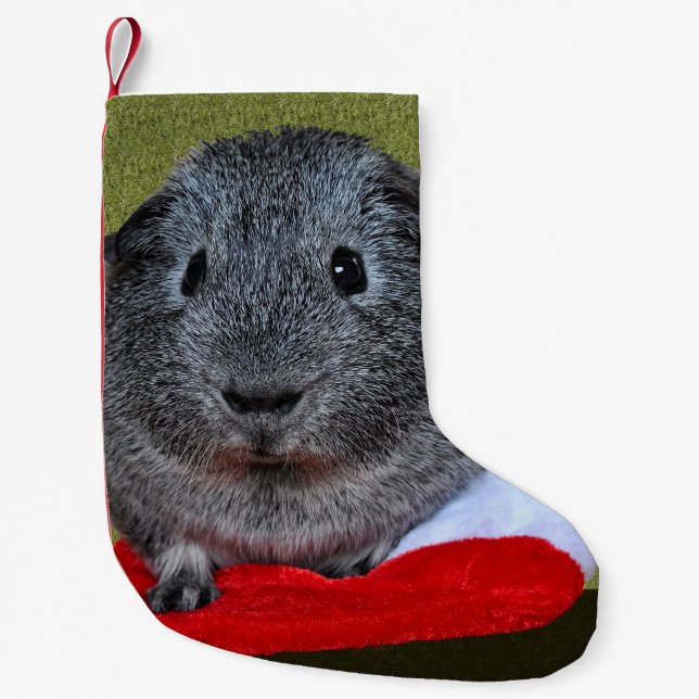 Guinea Pig Christmas Small Christmas Stocking (Front)