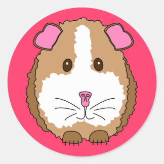 Guinea Pig Classic Round Sticker