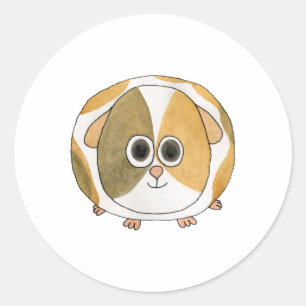 Guinea Pig. Classic Round Sticker