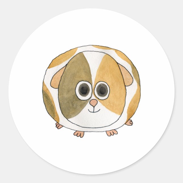 Guinea Pig. Classic Round Sticker (Front)