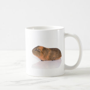 guinea pig coffee mug
